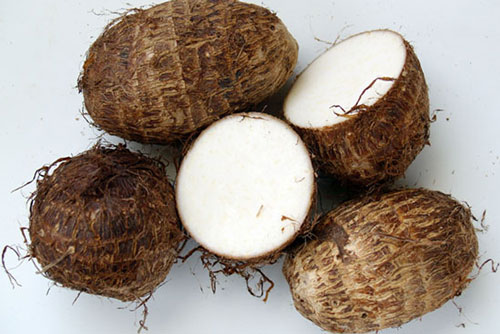 Tác dụng chữa bệnh cực tốt cho sức khỏe chỉ bằng khoai sọ