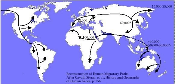 Con người có vai trò gì trong quá trình tuyệt chủng của các loài hiện đại? - Ảnh 2.