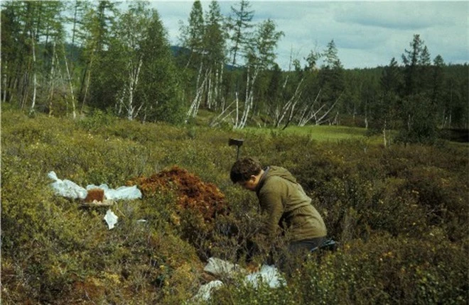 Tìm thấy mảnh thiên thạch của vụ nổ Tunguska ảnh 1