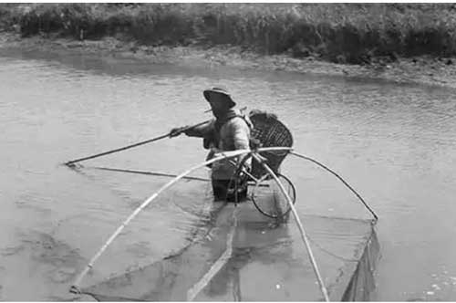 Mẻ lưới nặng trịch không thể kéo lên: Ngư dân bất ngờ nhận ra thứ mắc vào lưới không phải cá mà 'thần vật'