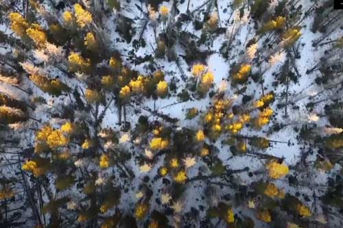 CLIP: 'Du ngoạn vòng quanh thế giới' ngắm vẻ đẹp của mùa Đông