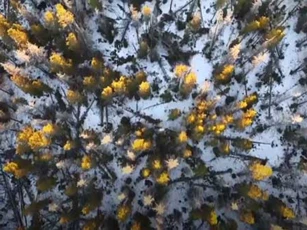 CLIP: 'Du ngoạn vòng quanh thế giới' ngắm vẻ đẹp của mùa Đông