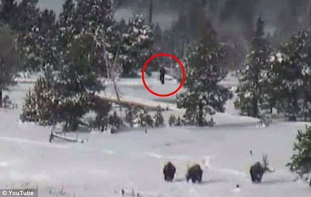 Phát hiện Người tuyết chân to bí ẩn tại Công viên Quốc gia Mỹ?