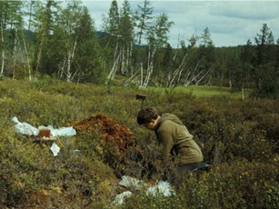 Tìm thấy mảnh thiên thạch của vụ nổ Tunguska