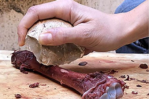 Phát hiện sốc từ gia tài của "loài người ma" 2,6 triệu tuổi