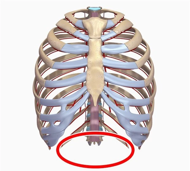 10 bộ phận cơ thể sẽ biến mất trong tương lai, cái số 4 ai nghe xong cũng mừng - Ảnh 8.