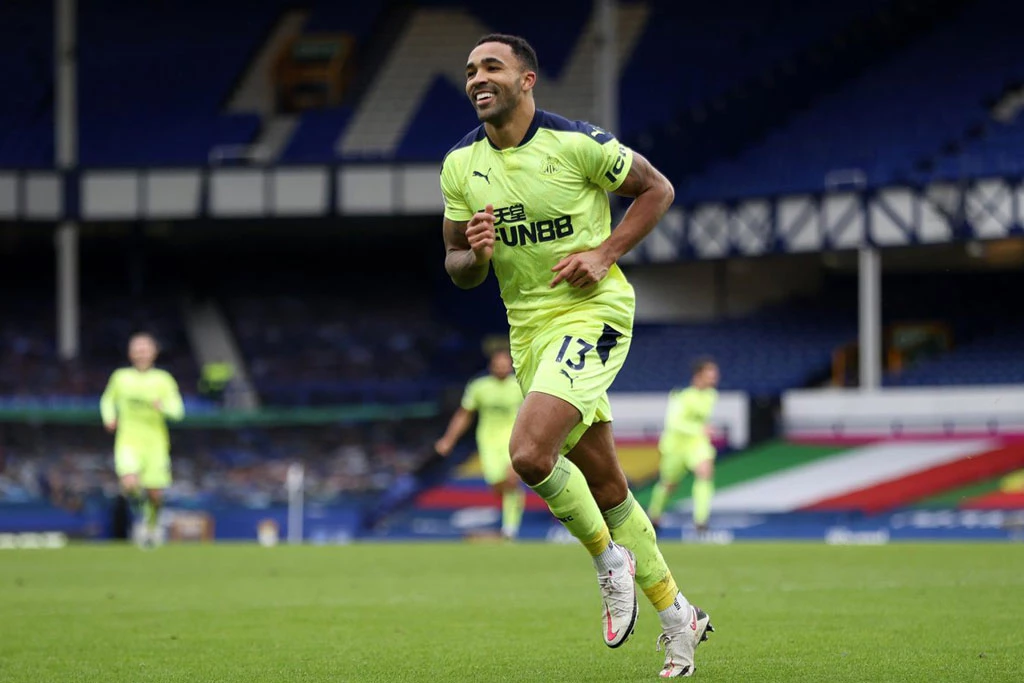 Tiền đạo: Callum Wilson (Newcastle).