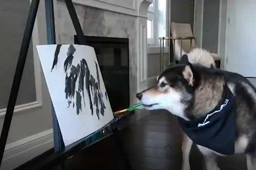 Những ai yêu thích chú chó Shiba Inu và sáng tạo nghệ thuật vẽ tranh động vật thú vị, hãy xem CLIP: Chú chó Shiba Inu trổ tài vẽ tranh kiếm bội tiền. Tại đây, bạn sẽ được xem những bức tranh đáng yêu được vẽ bởi một chú chó điềm đạm và đầy khéo léo. Bạn cũng có thể học hỏi và sáng tạo tác phẩm của riêng mình để kiếm tiền trên Youtube.