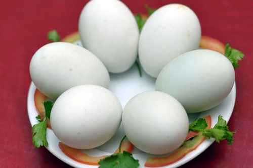 M&#x1EB9;o ch&#x1ECD;n mua tr&#x1EE9;ng v&#x1ECB;t l&#x1ED9;n t&#x1B0;&#x1A1;i m&#x1EDB;i v&#xE0; lu&#x1ED9;c tr&#x1EE9;ng th&#x1A1;m ngon