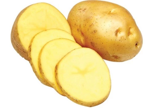 khoai tây 