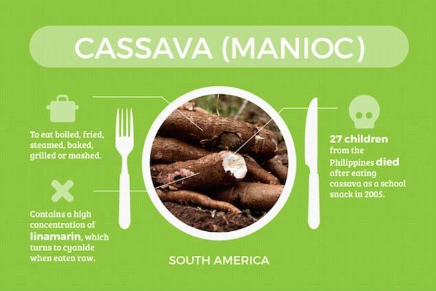 Sắn, khế lọt top những thực phẩm nguy hiểm nhất thế giới