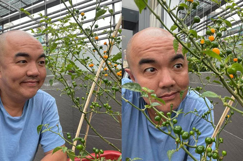 Sau Lý Hải, diễn viên Quốc Thuận là sao Việt sở hữu cây ớt hạt tiêu đắt nhất thế giới