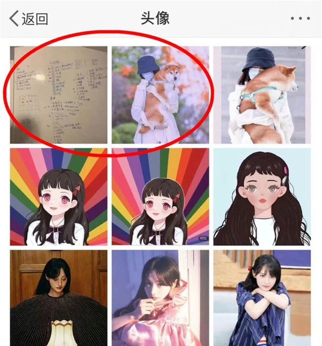 Vừa định giành quyền nuôi con, nửa đêm Trịnh Sảng đã vội thay ngay avatar Weibo với nội dung khó hiểu - Ảnh 2.