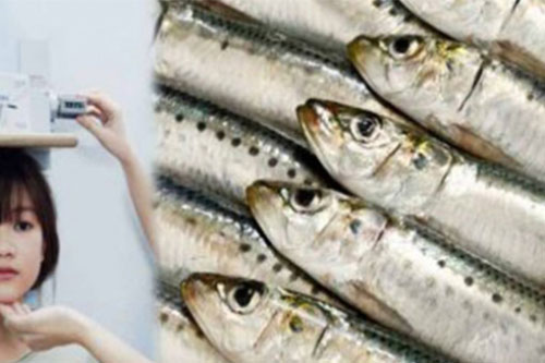 2 loại cá có thể thay thế 3 ly sữa một ngày, cực giàu canxi giúp phát triển chiều cao tối đa