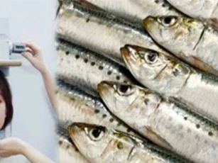 2 loại cá có thể thay thế 3 ly sữa một ngày, cực giàu canxi giúp phát triển chiều cao tối đa