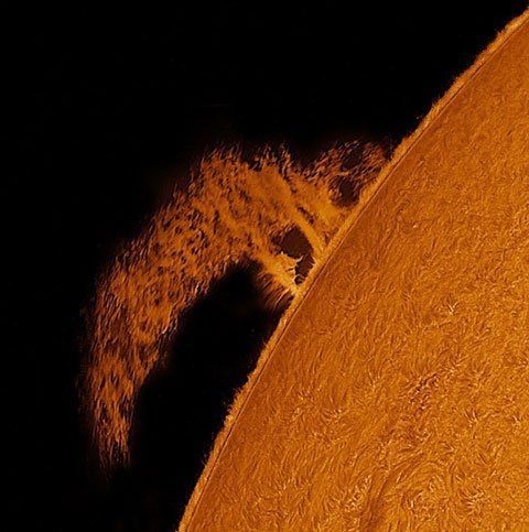 Chụp cận cảnh được “rắn Mặt Trời”