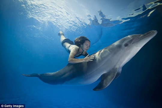 Sẽ có nàng tiên cá thực thụ?