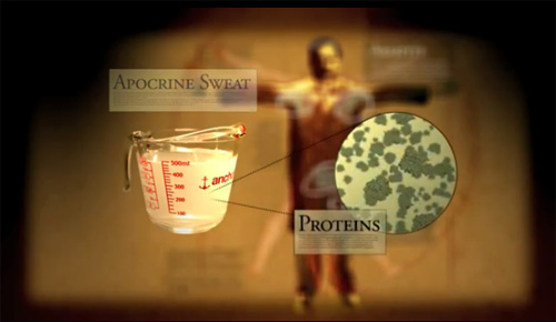 Tại sao mồ hôi bốc mùi khó chịu?