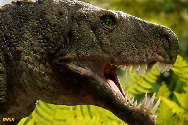 Cá sấu 'Vua đầm lầy' - Nỗi kinh hoàng của Trái đất