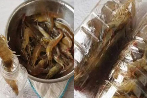 Cách bảo quản hải sản tươi sống cho ngày Tết không lo mất chất, nhạt thịt