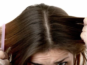 6 bộ phận chứa nhiều vi khuẩn nhất trên cơ thể