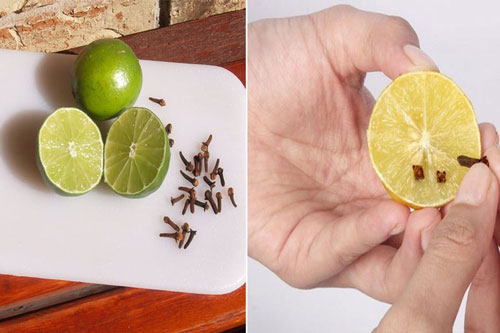 Chỉ cần nửa quả chanh làm theo cách này trong gia đình bạn chẳng bao giờ có con muỗi nào
