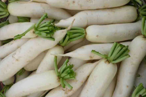 Thực phẩm tránh không nên ăn cùng củ cải