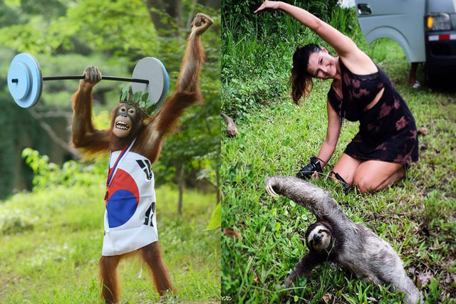 Chùm ảnh siêu đáng yêu của những loài động vật đam mê thể thao trong thế giới tự nhiên