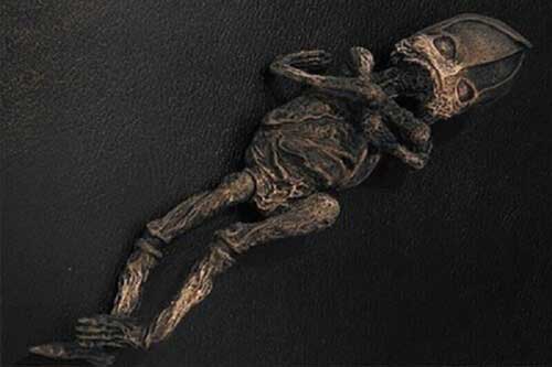 Sự thật gây 'sốc' về em bé ngoài hành tinh mang lời nguyền chết chóc và nỗi khiếp sợ suốt 23 năm