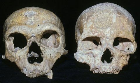 Người Neanderthal tuyệt chủng vì mắt quá to?