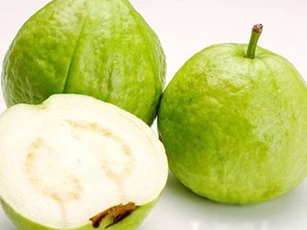 Tại sao ăn ổi thường xuyên lại tăng cường hệ miễn dịch