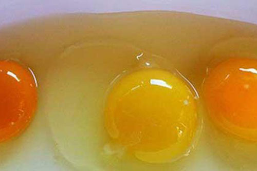 Đập trứng gà ra bát thấy lòng đỏ màu đậm và nhạt khác nhau: Ăn loại nào tốt hơn?