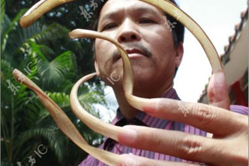 Khoa học: Móng tay người vẫn mọc dài ra sau khi chết