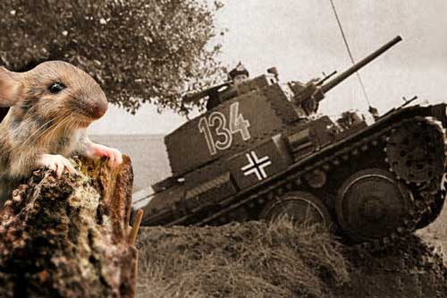 Đội quân chuột làm nên chiến thắng Đức Quốc xã trong Trận Stalingrad