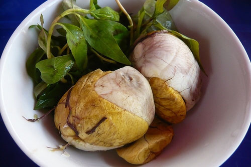 Ăn rau răm bạn bắt buộc phải biết điều này