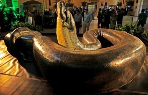 Loài rắn khổng lồ nhất trên Trái Đất