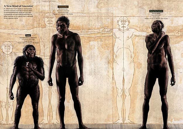 Khám phá bất ngờ về loài người tiền sử mới