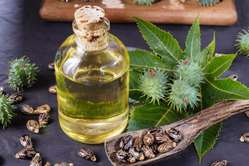 Tinh dầu kích thích lông mày mọc nhanh, đen nhánh đón Tết