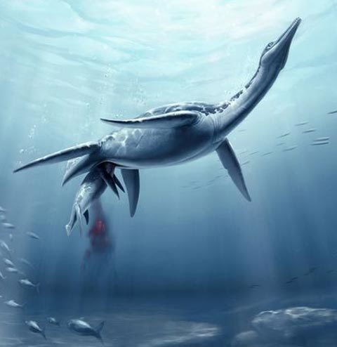 Phát hiện mới: Bò sát biển không đẻ trứng