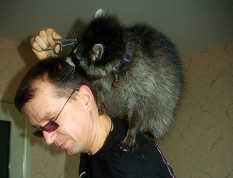 Gấu trúc cũng biết ghen