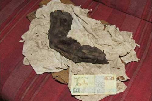 Bí ẩn ngón tay dài 38cm - người khổng lồ trong truyền thuyết là có thật?