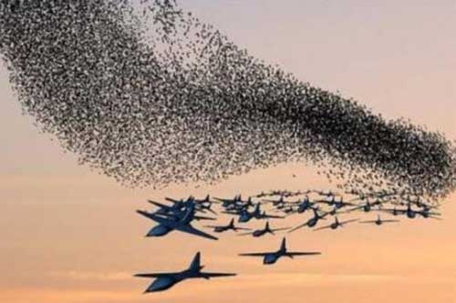 Mỹ đã có ‘thuốc đặc trị’ để tiêu diệt UAV 'bầy đàn' của Trung Quốc