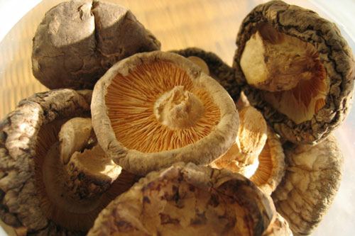 Cách chọn nấm hương siêu đơn giản