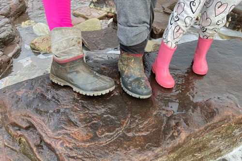 Dạo biển, bé gái 4 tuổi phát hiện "báu vật" 220 triệu năm