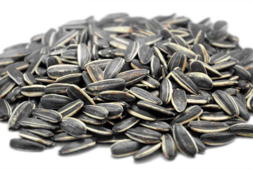 Chọn hạt dưa, hạt hướng dương thế nào để không dính độc?