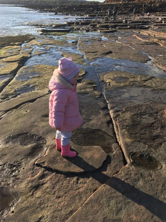 Dạo biển, bé gái 4 tuổi phát hiện báu vật 220 triệu năm - Ảnh 4.