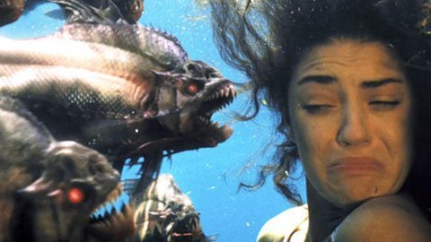 Cá ăn thịt biết... nói