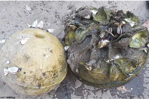 Đi bắt ốc ở bờ biển, ngư dân Thái Lan thấy 1 chiếc phao cứu hộ thì nhặt về, không ngờ đổi đời