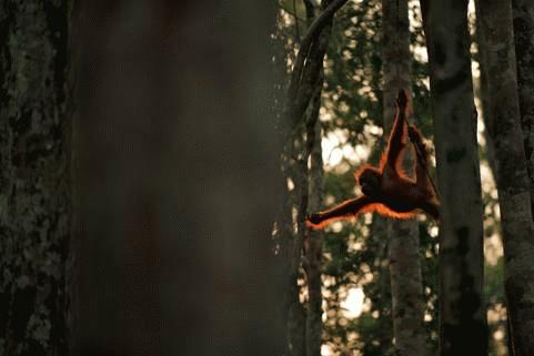 Những bức ảnh về thiên nhiên ấn tượng (phần 1)