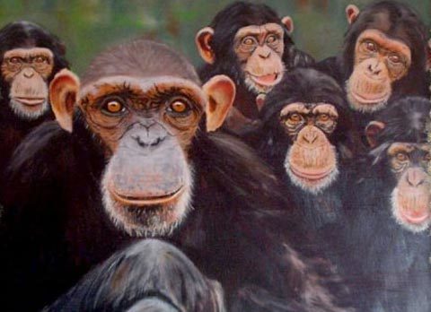 Những điều ít người biết về thế giới động vật (phần II)